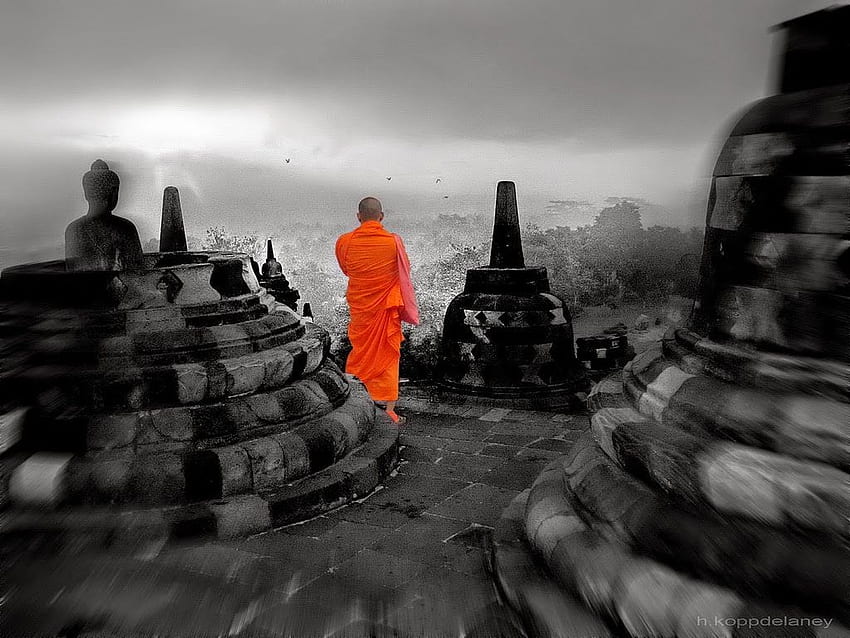 Buddhist monk HD wallpapers | Pxfuel