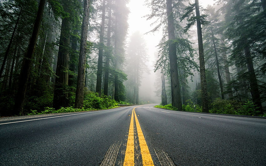 Kuzey Amerika Otoyolu Karayolu ABD Kuzey Amerika Otoyolu Karayolu Usa/. Yol, Yol , Manzaralı, Amerikan Ormanı HD duvar kağıdı