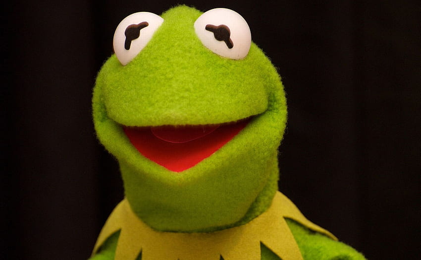 Kermit - Kermit The Frog Black Background HD wallpaper