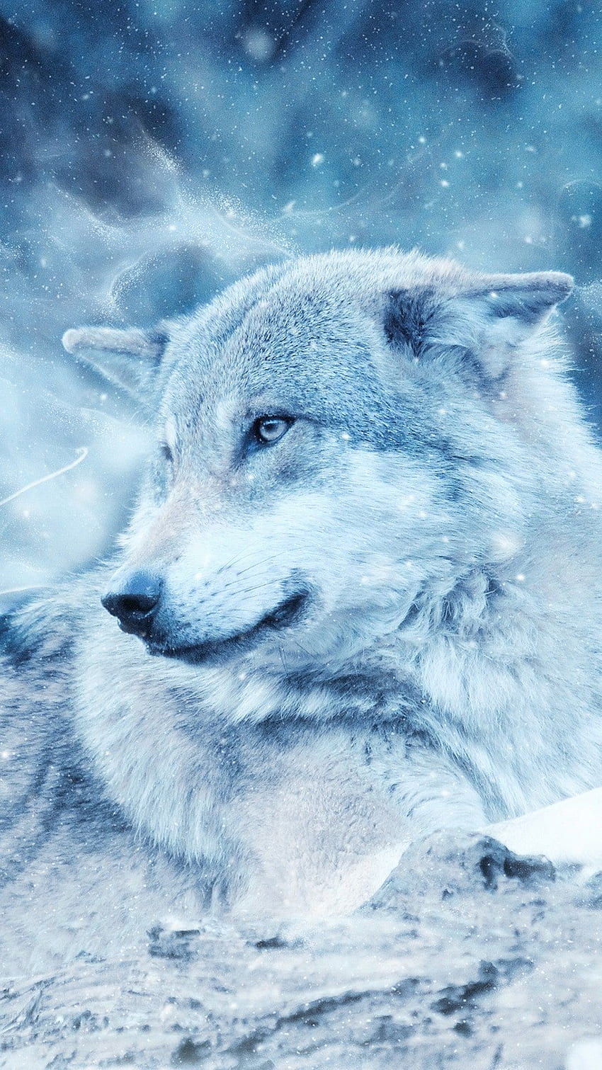 Premium AI Image  White wolf with blue eyes wallpapers and images for  iphone and android