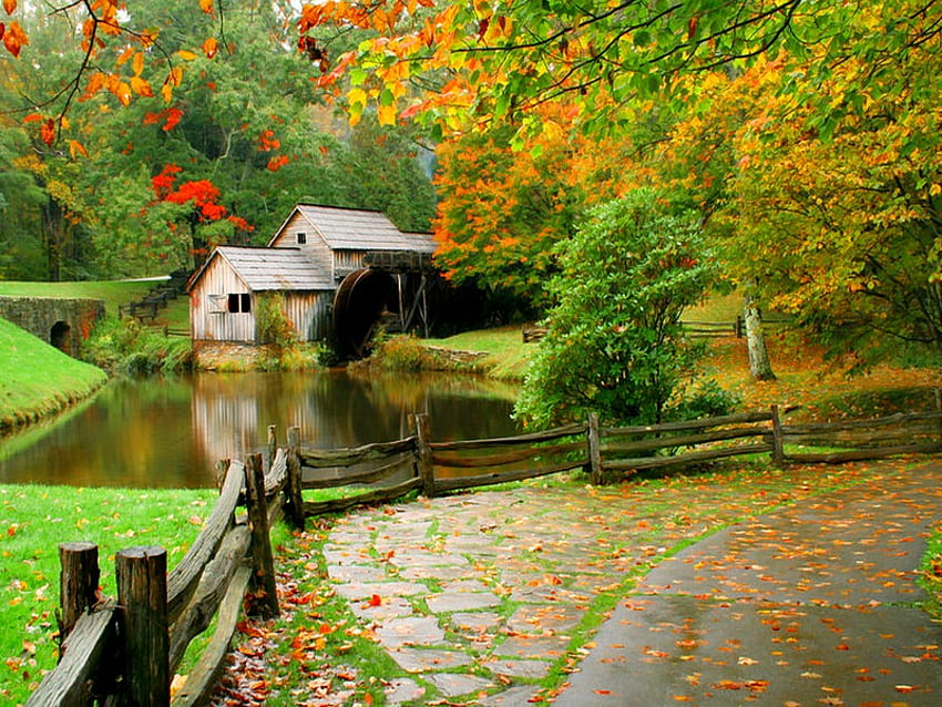 Мелница в есенната гора, мелница, есен, водна мелница, листа, отражение, ограда, дървета, есен, гора HD тапет