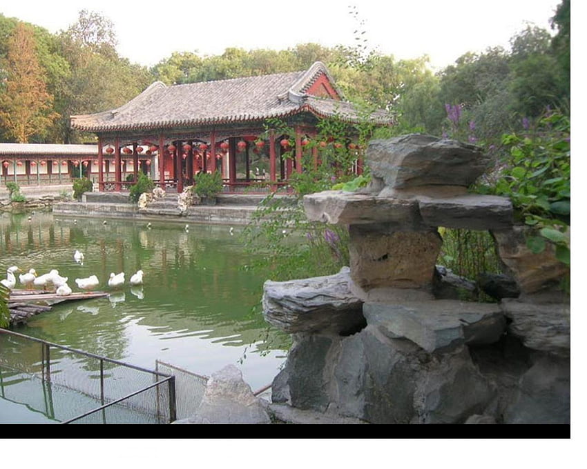 gardens in japan, gardens, chinese, calm, water HD wallpaper
