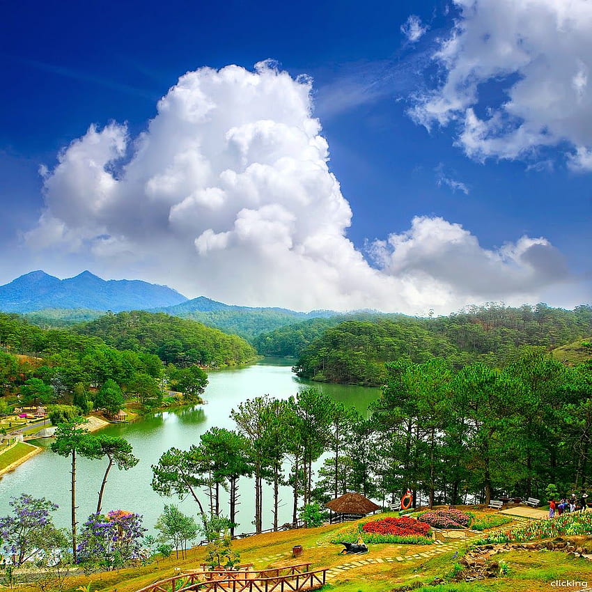 Dalat – The City of Love and Flower. Most beautiful places in the world. HD phone wallpaper