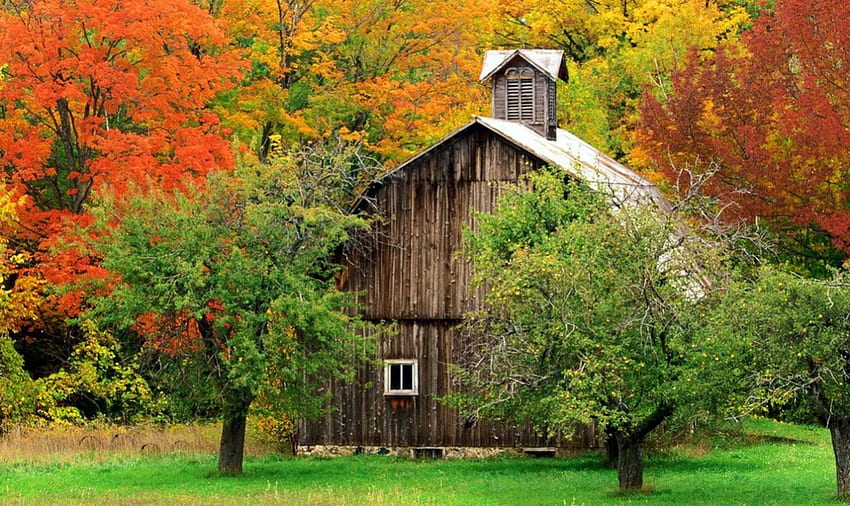 Cabaña de madera en montaña de otoño, madera, casa, otoño, colores, hermoso, hierba, solitario, montaña, árboles, otoño, cabaña, encantador, bosque, follaje fondo de pantalla