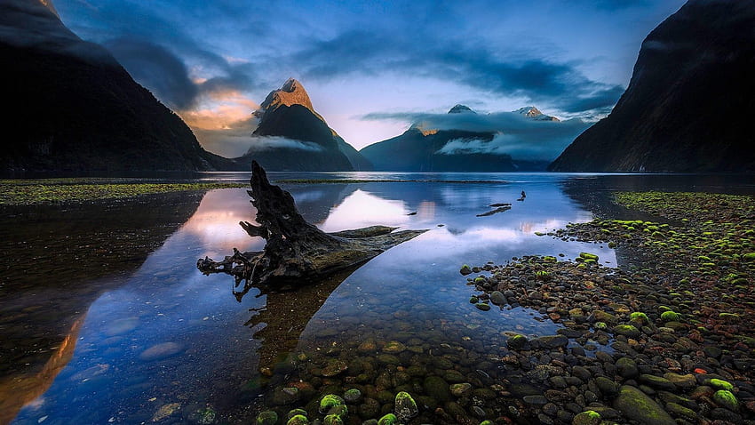 Most Amazing Of The Milford Sound Beautiful Landscape Night Sky () : HD wallpaper