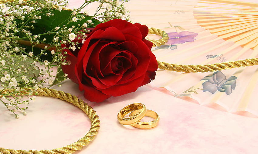 white love, rose, wedding, ring, romantic, mariage HD wallpaper