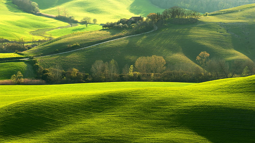 トスカーナ、イタリア、ヨーロッパ、丘、緑、野原、旅行。 背景の自然、自然、自然、ヨーロッパの田舎 高画質の壁紙