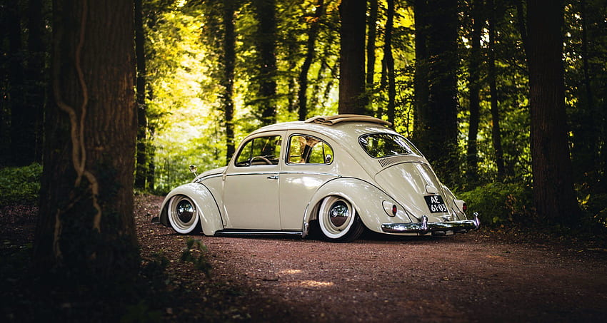 Volkswagen Beetle Pc .teahub.io, Vw Bug HD wallpaper