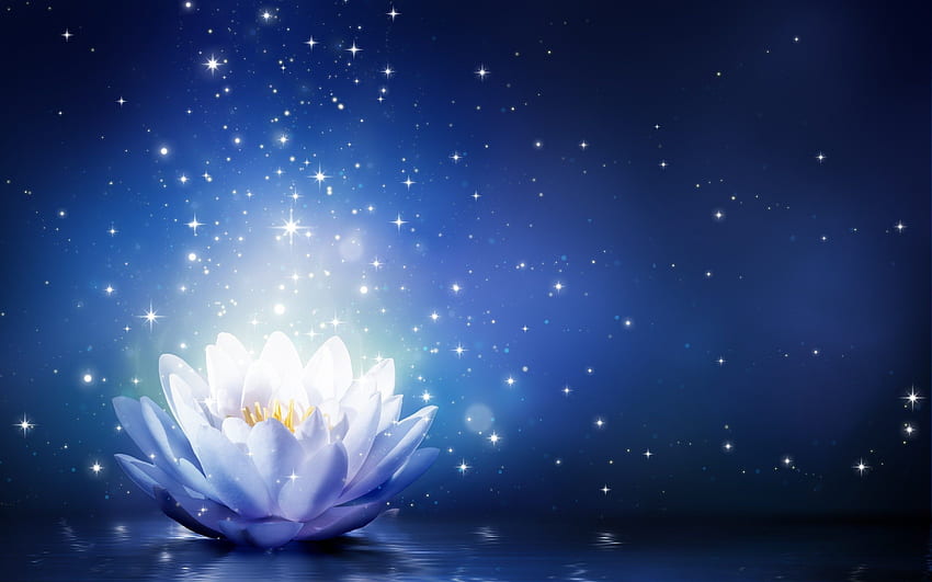 Lotusblume funkelt auf blauem Hintergrund - magischer Lotus, magische Blumen HD-Hintergrundbild