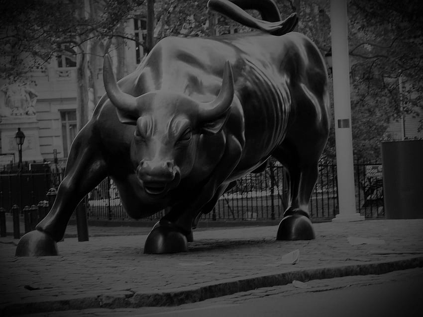 Byk na rynku Forex — Byk na Wall Street — Tapeta HD