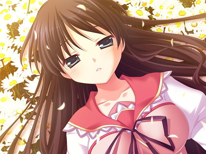 Ren Yakushiji, blanc, sérénité, fille animée, rose, anime, écolière anime, jaune, marguerite sphère, fleurs Fond d'écran HD