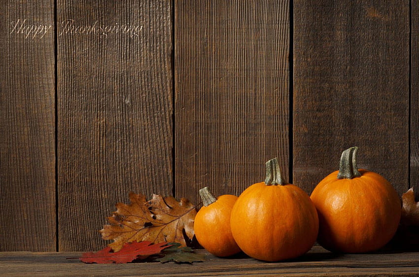 Pumpkins Thanksgiving, Large Thanksgiving HD wallpaper