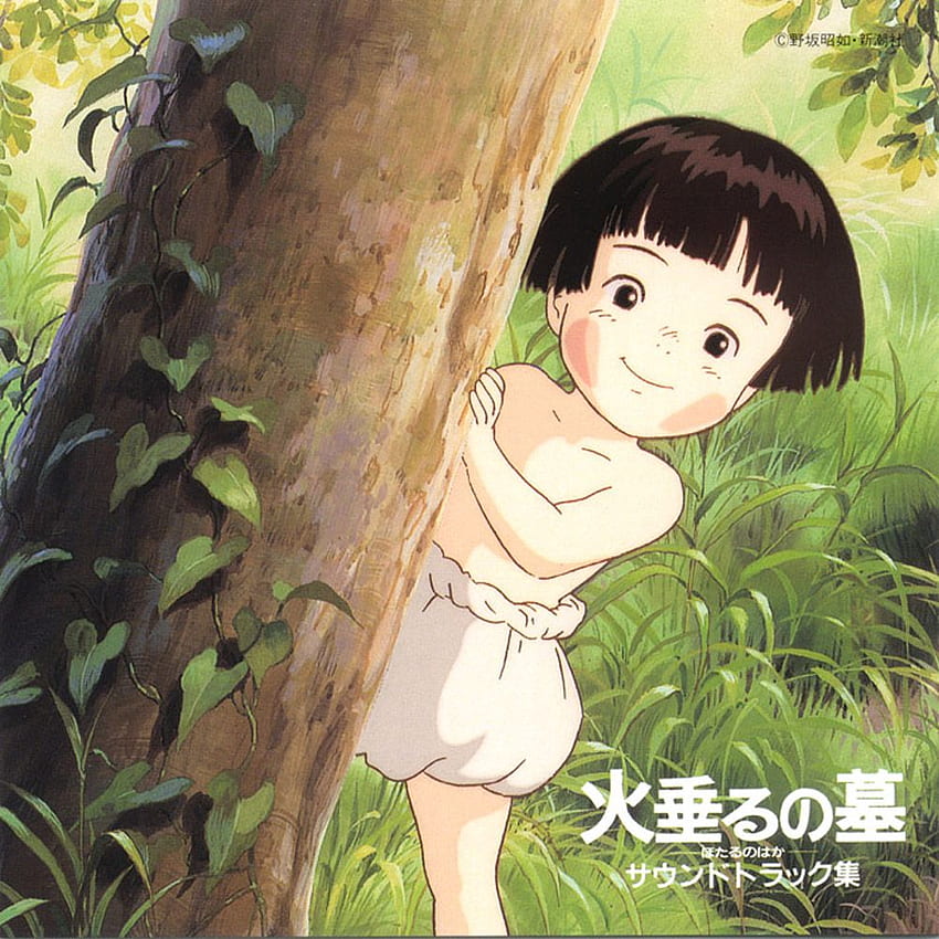 Grave of the Fireflies - and Scan Gallery HD phone wallpaper