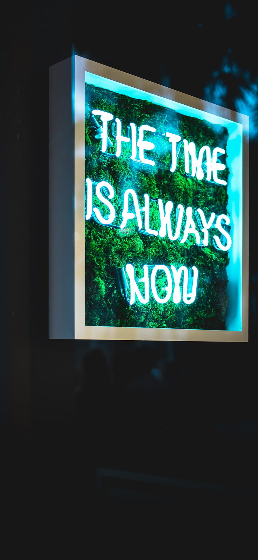 the time is always now neon light signage iPhone, Neon 5 HD phone wallpaper