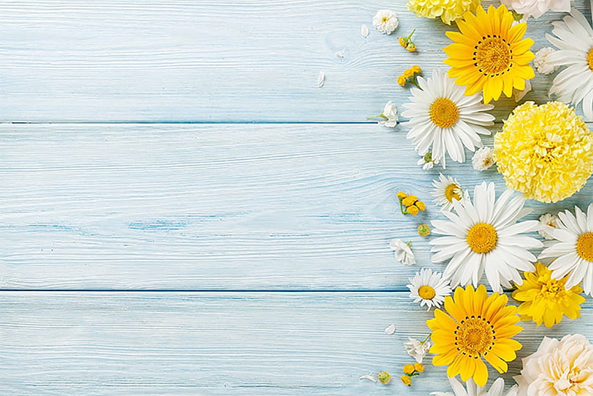 Wood Wall Backdrop for graphy Yellow Flowers Birtay. Etsy. graphy backdrops, Background for graphy, Springtime, Rustic Daisy HD wallpaper