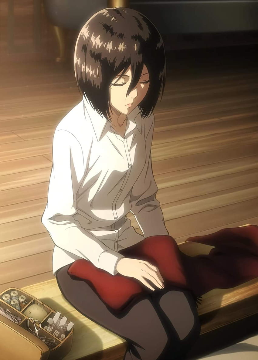 Mikasa, ackerman, atak na tytana, koniec sezonu, Shingeki no Kyojin, anime Tapeta na telefon HD