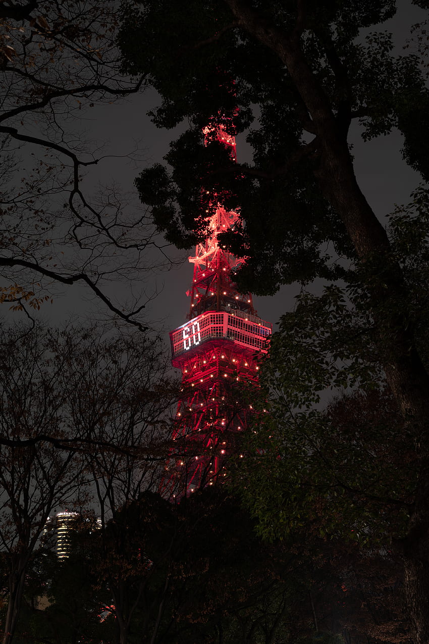 Cities, Night, Branches, Backlight, Illumination, Japan, Tower, Tokyo HD phone wallpaper