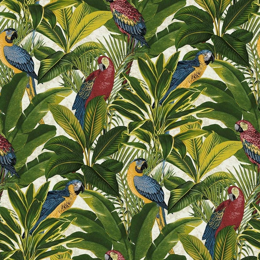 Exotic Bird Parrot Tropical Leaves Floral Red Blue Yellow Green Ideco from YöL .uk: DIY & Tools wallpaper ponsel HD