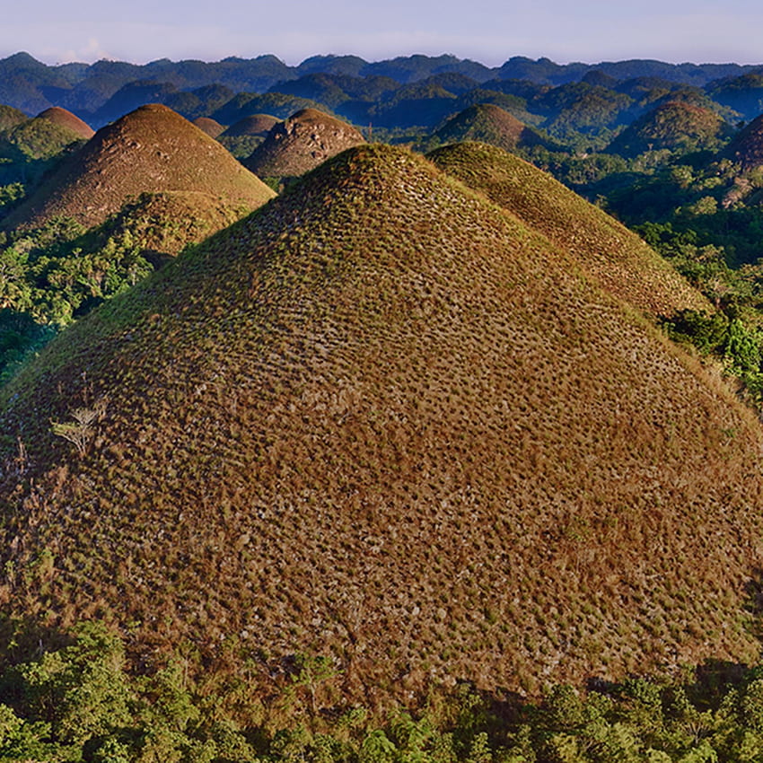 The Magnificent Chocolate Hills of Bohol in the Philippines HD phone wallpaper