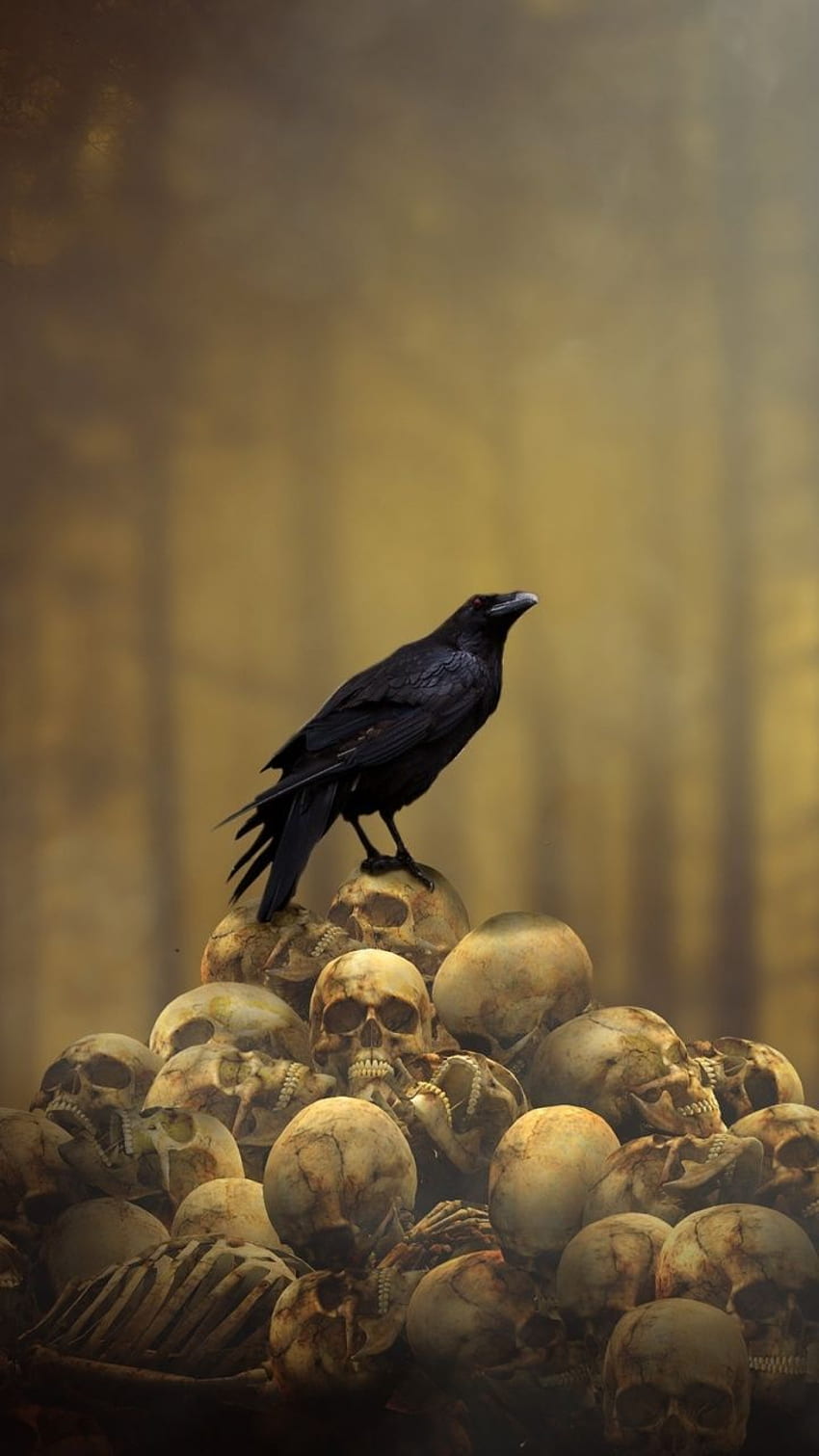 Fantasía, cuervo, montón de calaveras, pájaro, . Hermoso arte oscuro, vikingo, gótico fondo de pantalla del teléfono