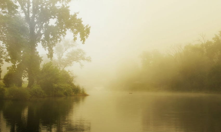 Summer fog lake morning forest mood . . 182399. UP, Foggy Lake HD wallpaper