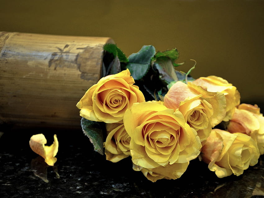 yellow flowers, flowers, wood, lovely, yellow HD wallpaper