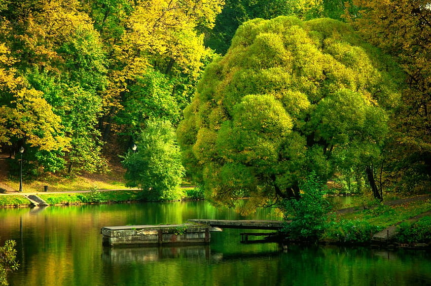 Awal musim gugur, musim gugur, Cantik, tenang, danau, taman, awal, refleksi, pohon, musim gugur, alam, menyenangkan, hutan, kolam Wallpaper HD