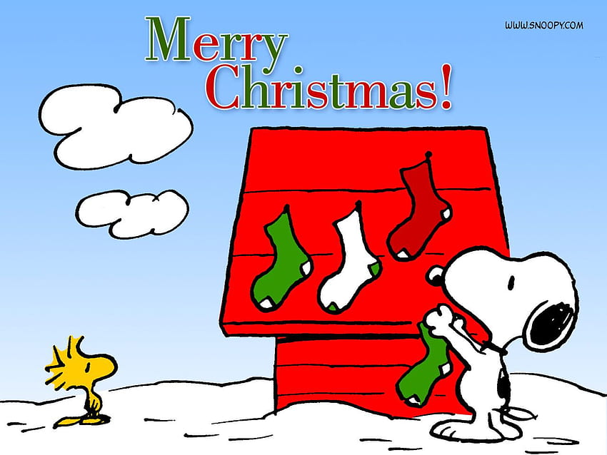 Cartoon Christmas - Snoopy Christmas Peanuts Cartoon, Cute Cartoon Christmas Tapeta HD