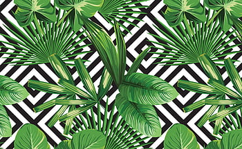 Tropical Leaves Wallpaper Stock Photos, Images and Backgrounds for Free  Download
