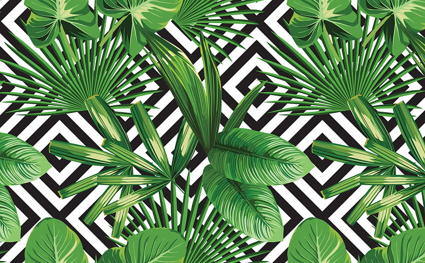Palm Leaves Tropical for Walls. Palms Over Diamonds, Tropical Pattern HD wallpaper