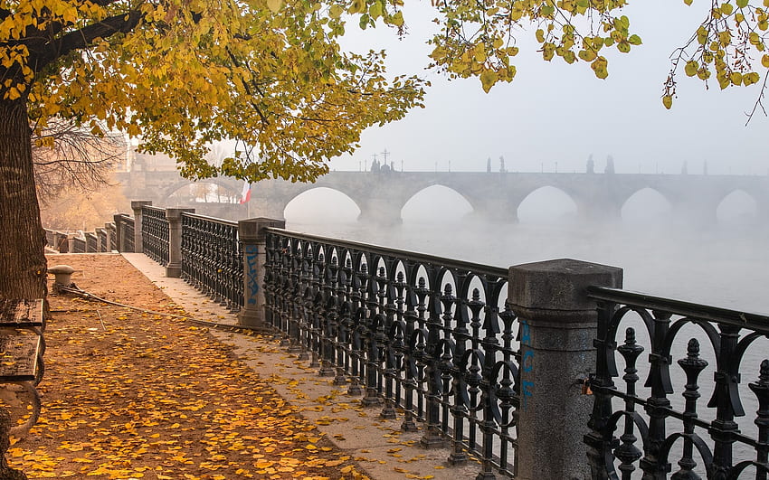 Musim gugur di Praha, Czechia, Czechia, promenade, sungai, kabut, jembatan, musim gugur, Praha Wallpaper HD