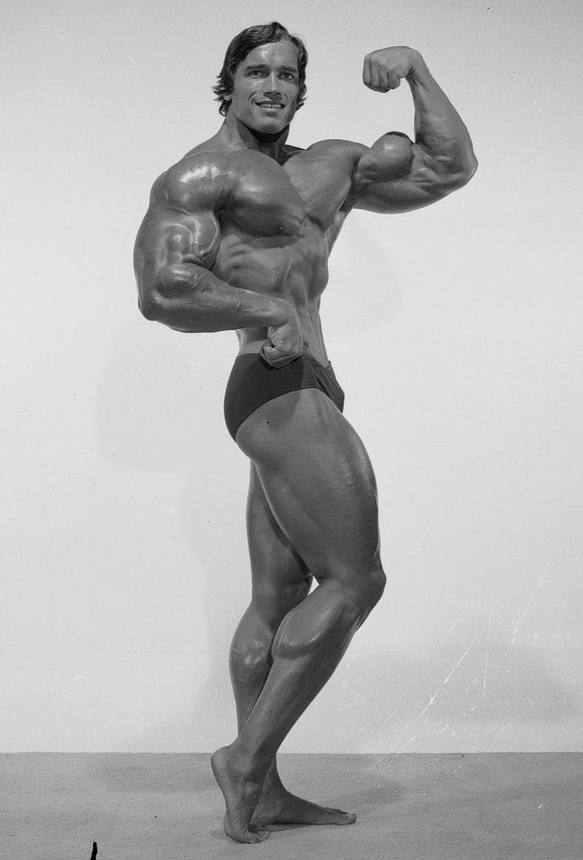 Arnold Bodybuilding Group, Bodybuilder für Männer HD-Handy-Hintergrundbild