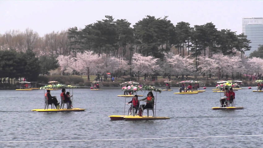 Lake Park Goyang, Korea. at 24th April 2013 HD wallpaper