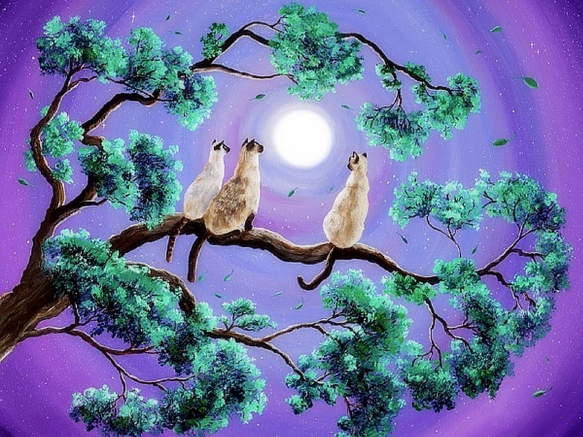 Triple Cat in Moonlight, gatos, colores, pinturas, gatitos, amor cuatro estaciones, fantasia, animales, arboles, dibujar y pintar, naturaleza, lunas fondo de pantalla