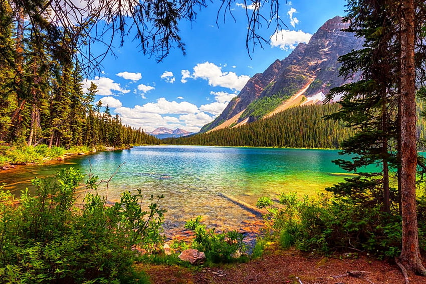 ブーム湖、バンフ国立公園、透き通った水、カナダ、美しい、湖、夏、雲、木、山、森 高画質の壁紙