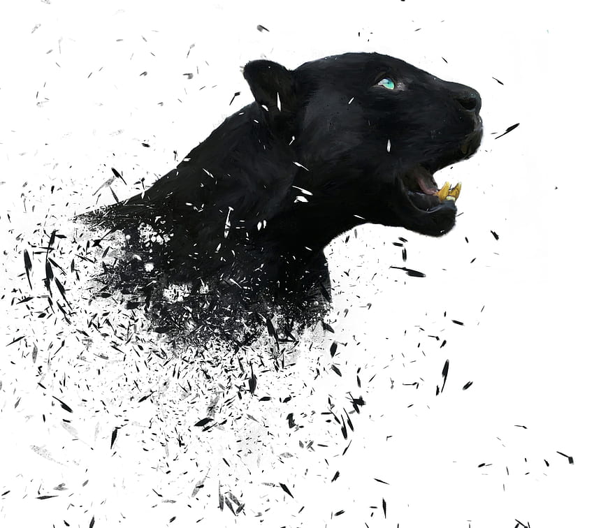 Изкуство Животно черна пантера HD тапет