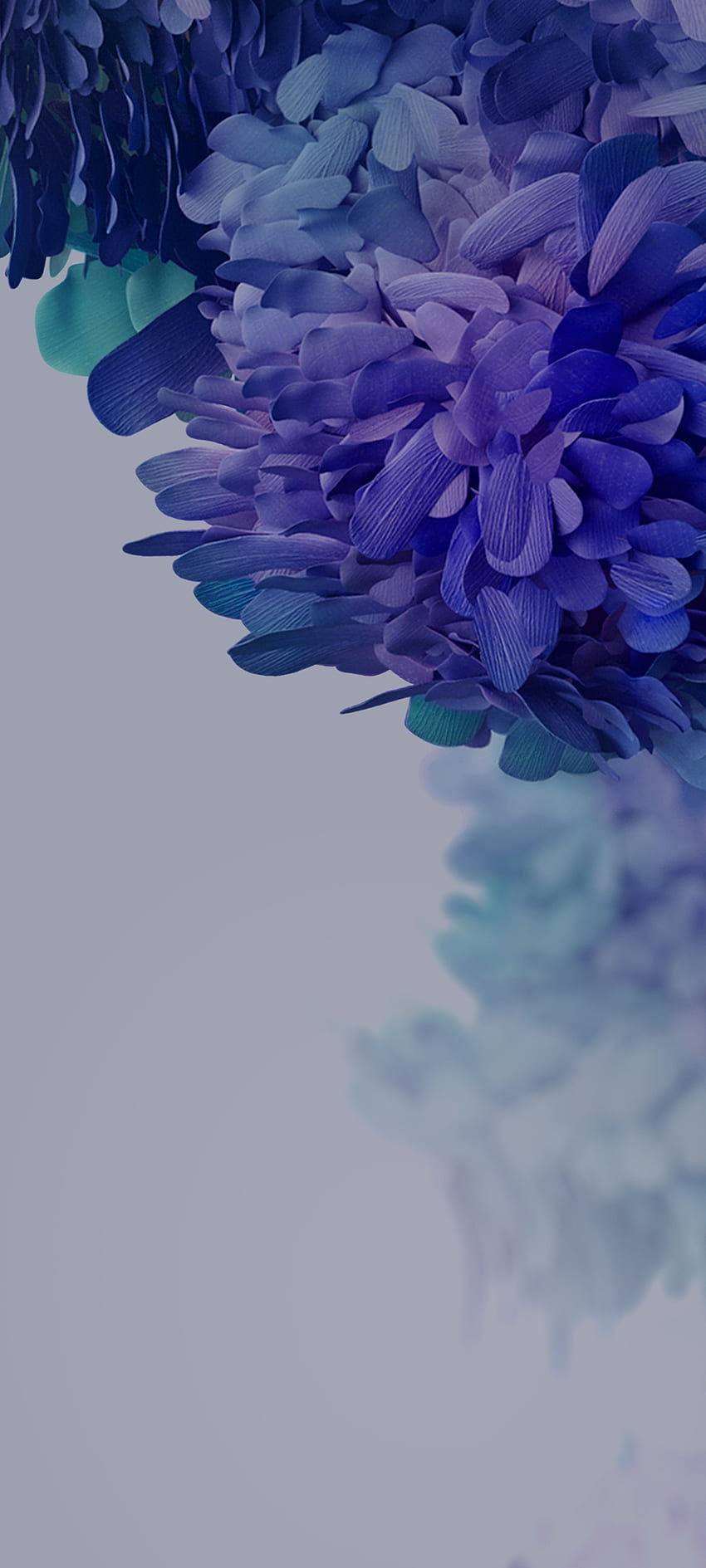 SamsungGalaxyS20FEnr.3, magenta, petal HD phone wallpaper | Pxfuel