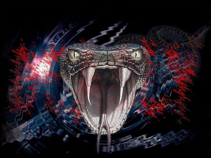Viper Snake, Scary Snake HD wallpaper