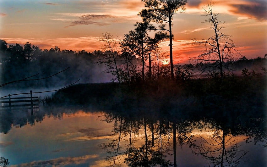 sunrise, Mist, Trees, Swamp, Reflection, Nature, Landscape, Florida, Sky, Clouds, Water / and Mobile Background, Florida Landscape HD wallpaper