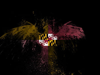 Maryland Wallpapers  Top Free Maryland Backgrounds  WallpaperAccess
