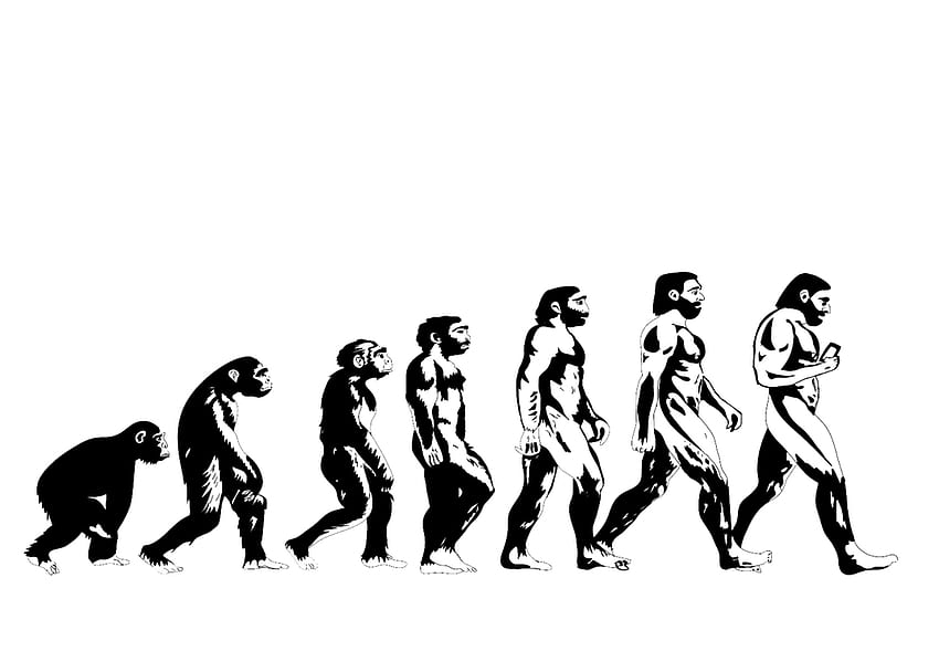 Ewolucja ,, Ewolucja człowieka Tapeta HD