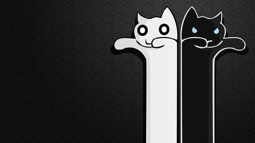White Cat, Black Cat PC และ Mac แมว แมวเหลือง แมวซอมบี้ คอมพิวเตอร์แมวการ์ตูน วอลล์เปเปอร์ HD
