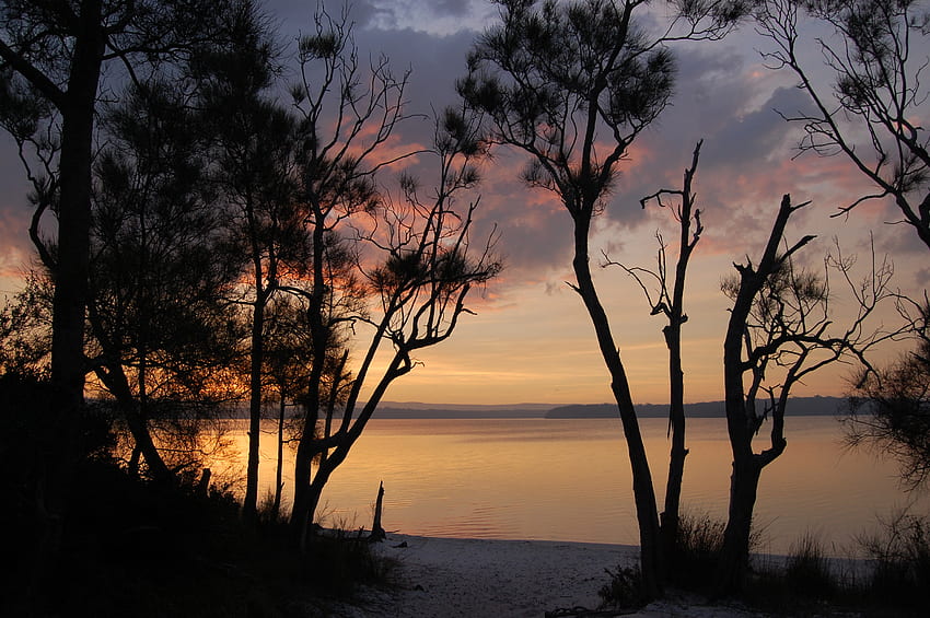 Swan Lake Sunset, swn lake, cudmirrah, australia, sunset HD wallpaper