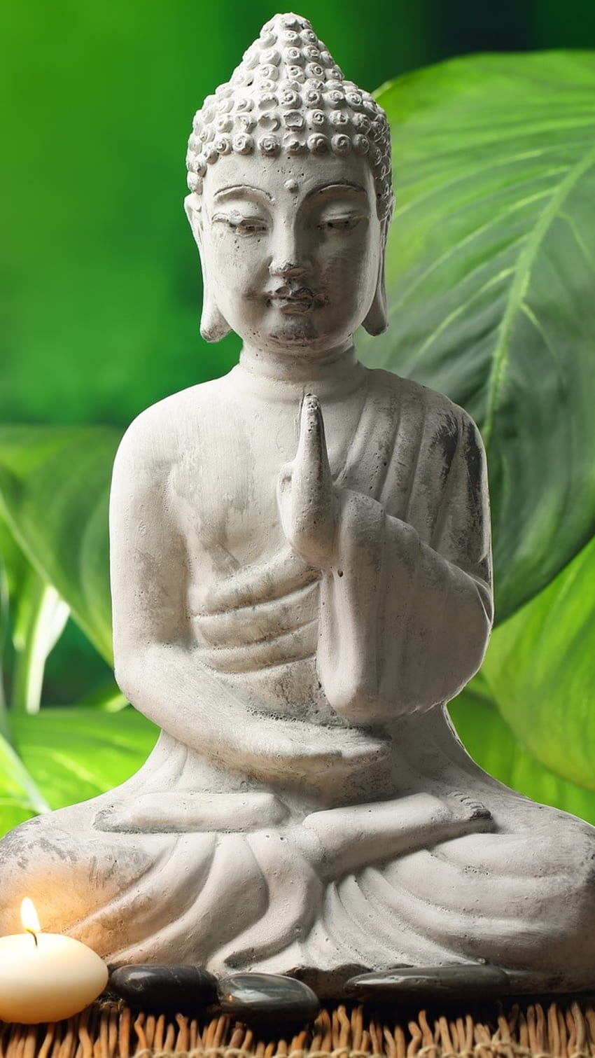 Buda Bhagwan, Buda, de la naturaleza, loto fondo de pantalla del teléfono