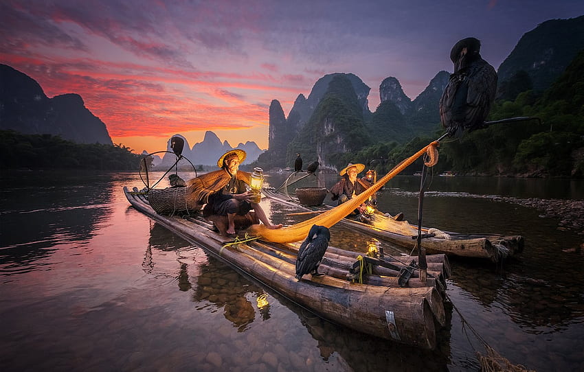 bird, boat, fisherman, China, cormorant, Guangxi for , section пейзажи, Chinese Boat HD wallpaper