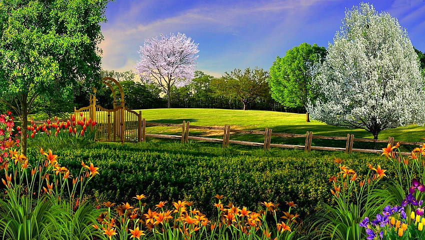 Colorful park, colorful, white, landscape, colors, beautiful, park, trees, view, nature, flowers HD wallpaper