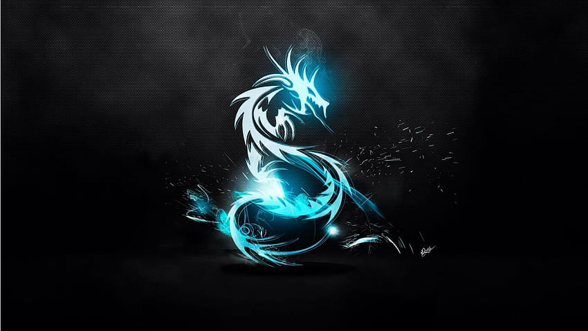 Blue dragon with black background. Dragon tattoo , Neon , Dragon, Black White and Blue HD wallpaper