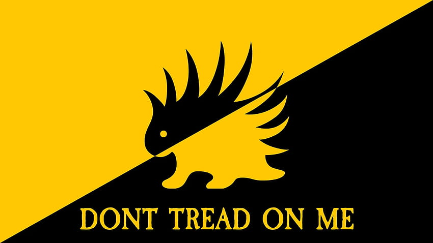 libertarianizm, anarchizm, flaga Gadsdena, ancap, anarchia / i mobilne tło Tapeta HD