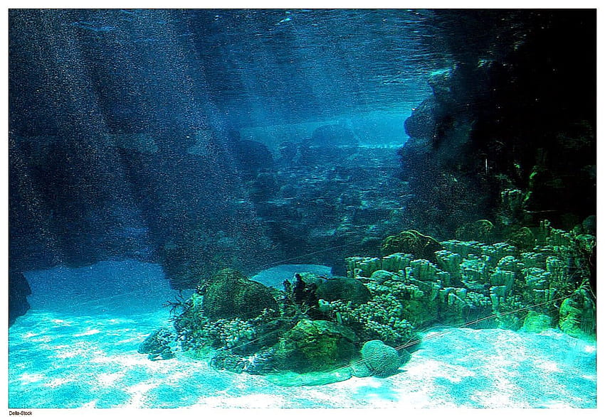 Подводна светлина на дъното на океана. Фон, подводна разходка по море HD тапет