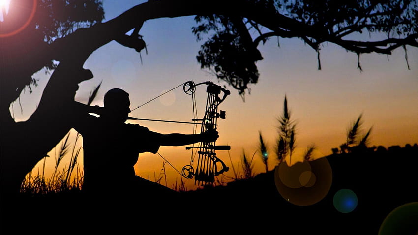 Bow Hunting Fresh Archery HD wallpaper